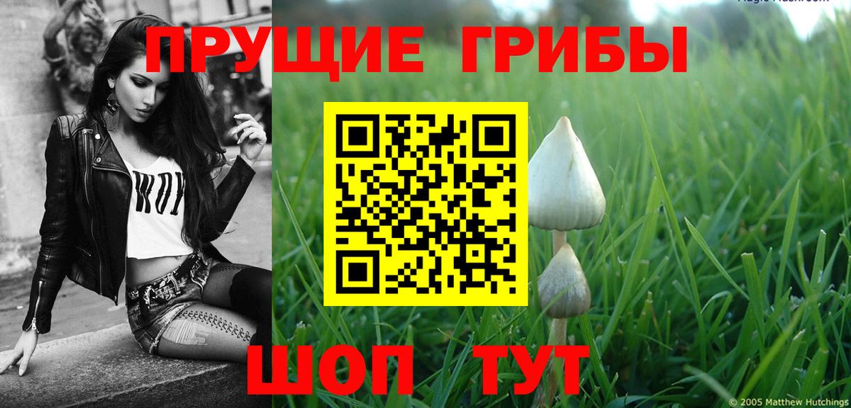 Галлюциногенные грибы Cubensis Лобня