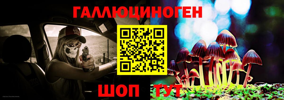 Галлюциногенные грибы MAGIC MUSHROOMS  Псилоцибиновые грибы Cubensis  Лобня 